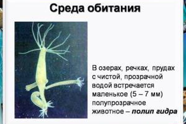 Как найти сайт кракен