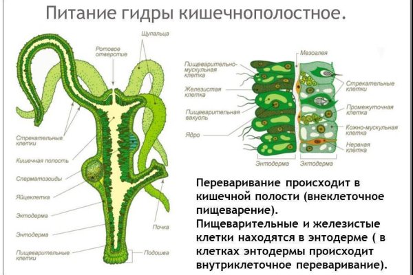 Кракен маркетплейс почему не закроют