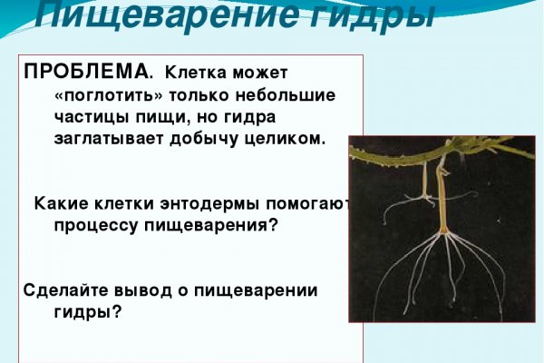 Кракен тор ссылка магазин