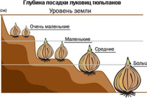 Ссылка на сайт кракен в тор браузере