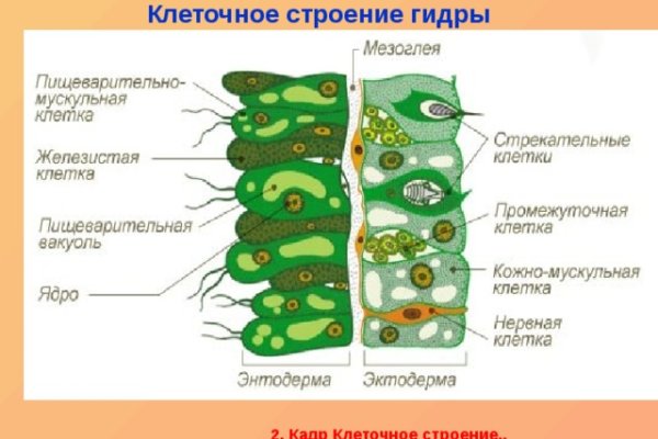 Кракен сайт kr2web