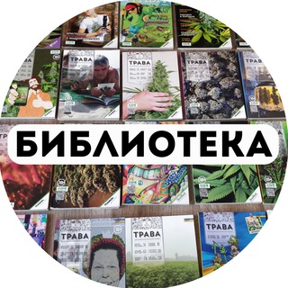 Кракен зеркало впн