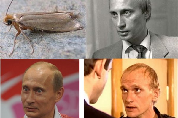 Кракен сайт store