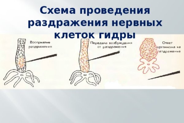 Как пополнить кошелек на кракене даркнет