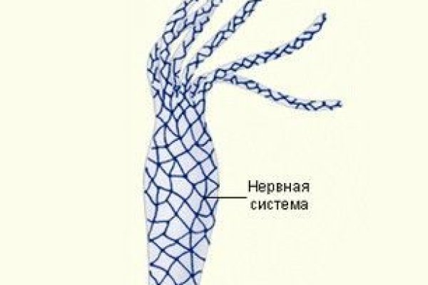 Зеркало кракен дарк