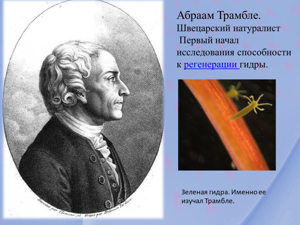 Кракен ссылка 2025